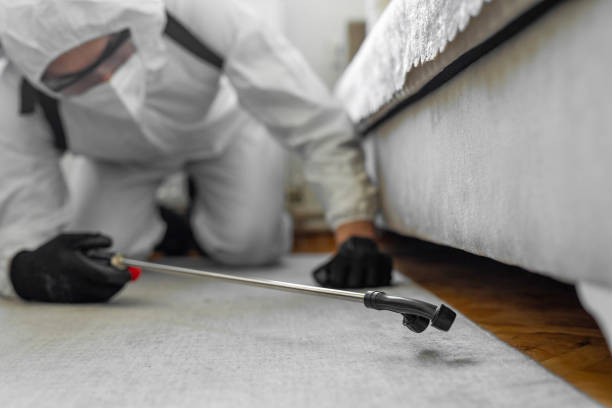 Professional Cockroach Control technician working in Robeson County County, NC